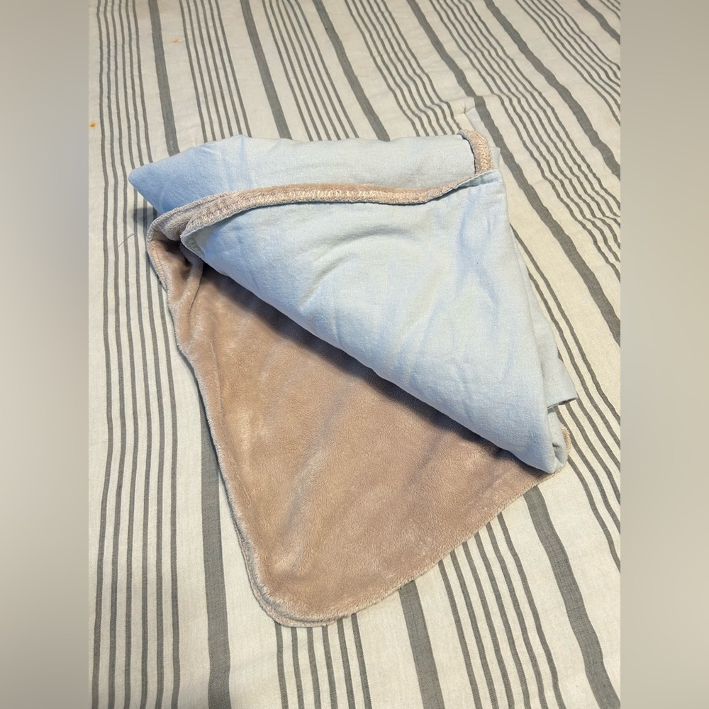 Carousel Designs Nursery baby blanket